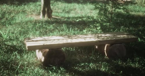 Wooden Bench Resting on Logs in a Tranquil Green Garden Space