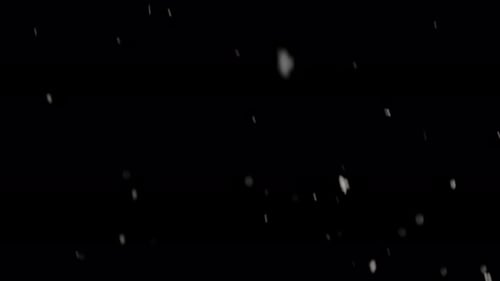 Snowflakes Drifting Against A Black Background