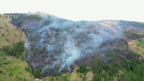 Fires burning down forest and mountain