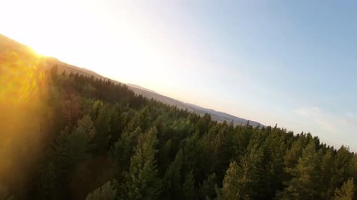 Aerial View From an FPV Drone Flying at High Speed Over Some Mountains and Green Forest Illuminated