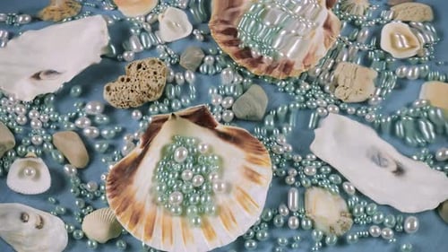 Oyster and scallop shells, sea pebbles and pearls on a blue background underwater