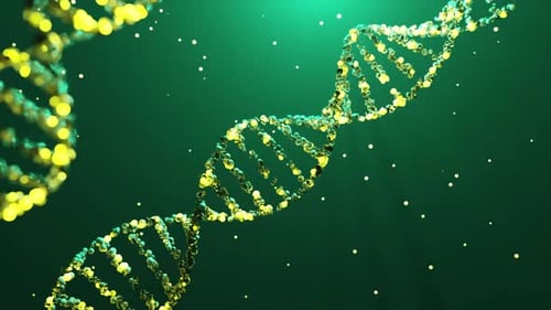 Animated DNA Double Helix for Science and Medical Projects