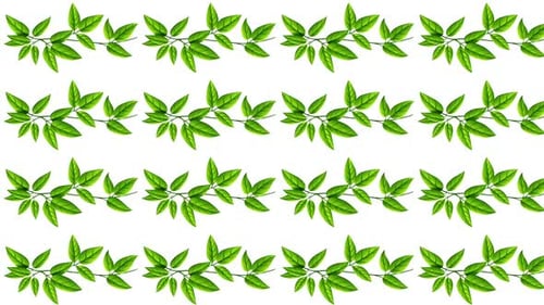 Fundo de folhas verdes