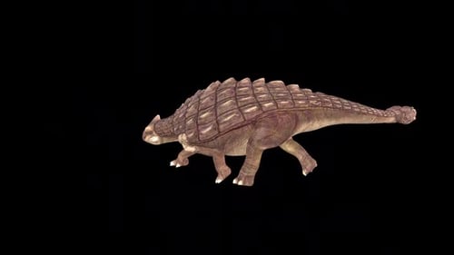 Ankylosaurus Dinosaur Tail Attack