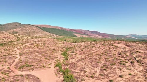 Die Luftaufnahme zeigt die verheerenden Folgen des Waldbrandes