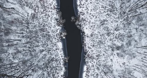 Flying above cold river and white forest in winter.