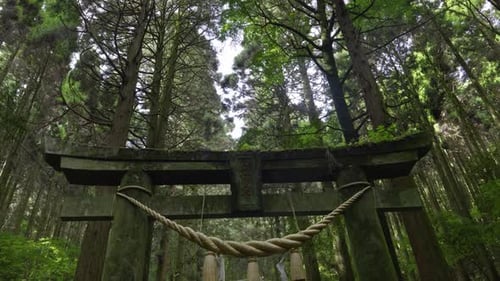 Plan rotatif cinématographique parfait au-dessus de la porte Stone Torii dans une forêt luxuriante