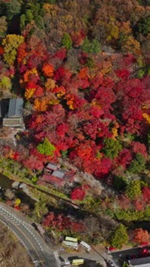 Vertical Aerial fly Kyoto Yase Neighborhood in Autumn, Mount Hiei Valley Landscape, Japan