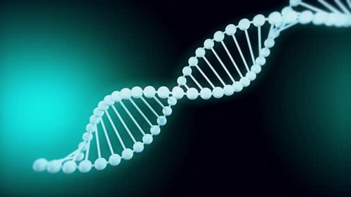 Dynamic DNA Double Helix Rotation for Science and Biology Visuals