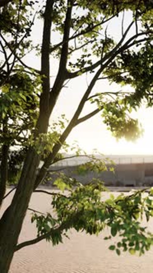 Sun Dappled Leaves of a Tree by Water in Vertical Format