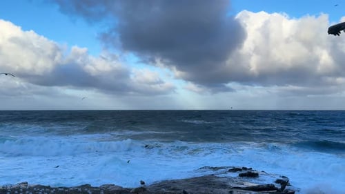 King tide at La Jolla Cove skyline view over waves crashing on clliffs with pellicans flying by.