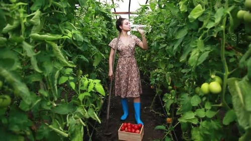Woman Drinking Water in Greenhouse Garden with Tomatoes
