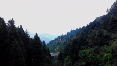 Dehradun masuri drone passing through the trees and reviling the city.