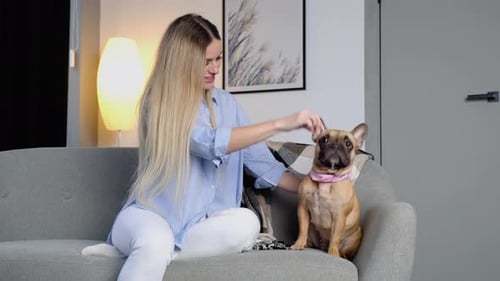 Young Woman Interacting With French Bulldog on Couch