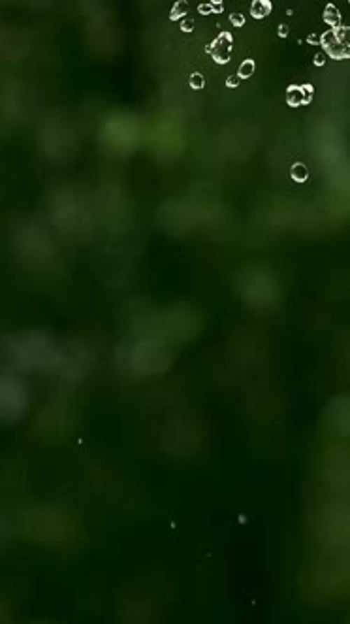 water drops on green background