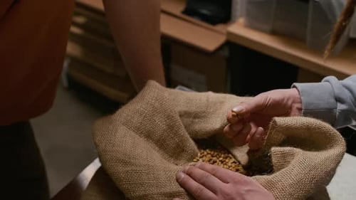 Specialists Examining Quality of Unroasted Coffee Beans