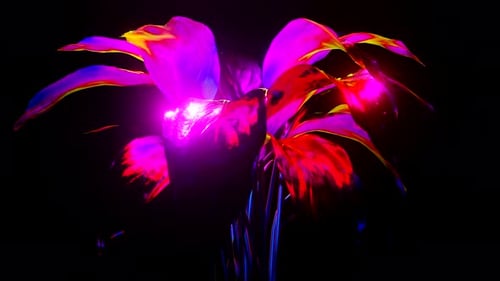 Glowing Abstract Neon Plant Animation Loop