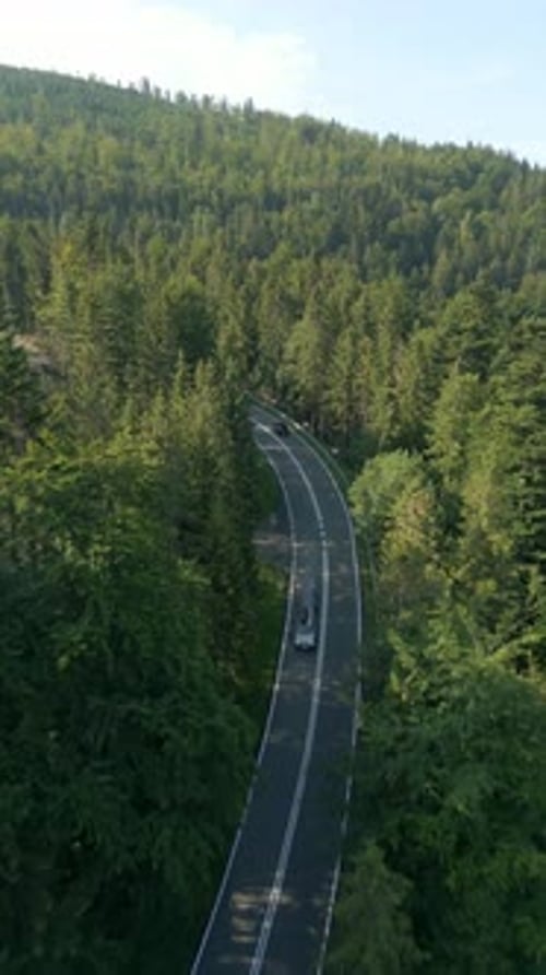 Aerial Of A Car Driving On A Winding Road Through A Mountain Forest In Summer