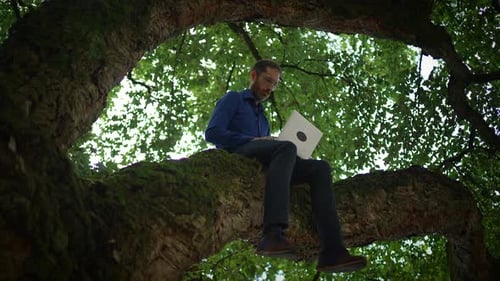 Man Working on Laptop While Sitting in Tree