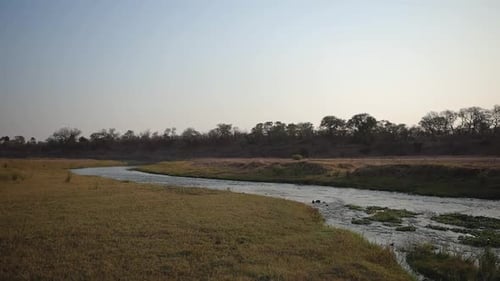 In a sweeping wide shot, an African river meanders majestically through the vast landscape, its wate