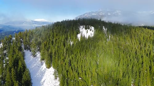 Aerial View of Green Trees with Fog on the Mountain Slopes
