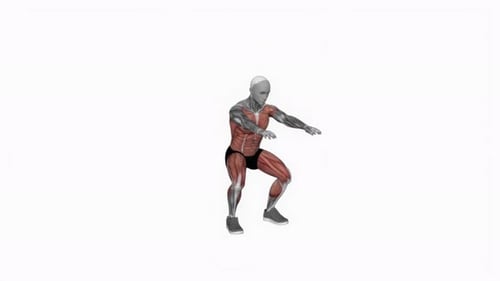 Muscular System Burpee Exercise Animation for Fitness Training