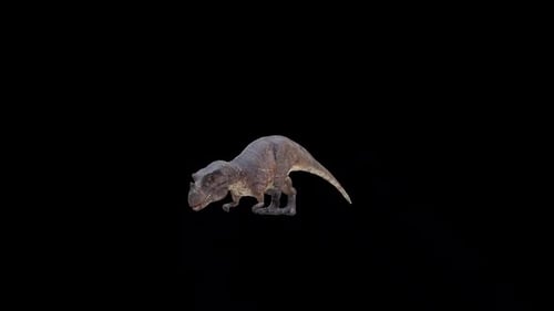 Ceratosaurus Dinosaur Drink Front View Loop