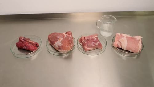 Meat Specimens on Petri Dishes in Laboratory