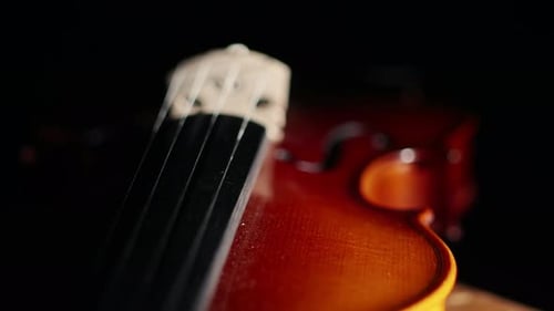 Nahaufnahme zeigt Saiten, Geier und Körper, die Geige, die im Dunkeln liegt und vom Licht beleuchtet wird