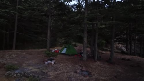 Aerial view of the campsite between pine trees at twilight near countryside. Quiet and calm