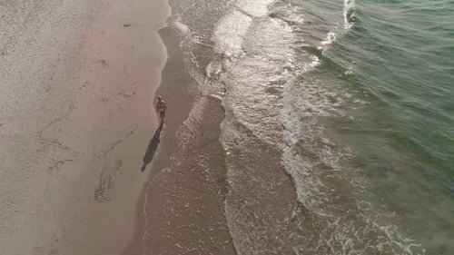 A beautiful woman in a bikini enjoying walk along the seashore during sunrise. Aerial shoot in 4k, U