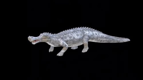 Wild Crocodile Run Idle