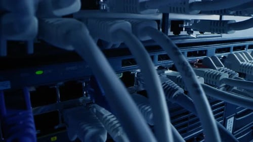 Macro Shot: IT Administrator Plugs in RJ45 Internet Connector into LAN Router Switch. Information C