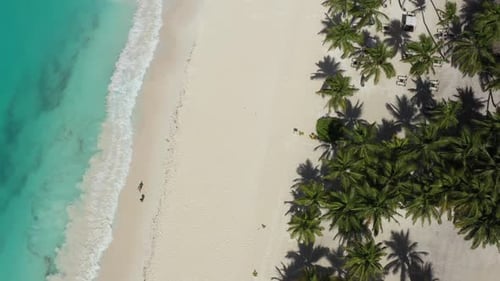 Aerial View on Tropical Shore with Coconut Palm Trees and Turquoise Caribbean Sea Travel