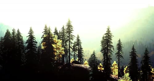 Majestic Forest Landscape with Sun Rays Filtering Through Trees and Mountains