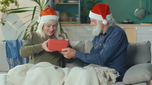 Senior Couple Celebrating Christmas Together Exchanging Gifts
