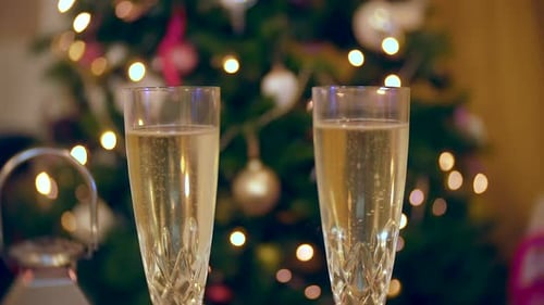 Festive Champagne Celebration with a Christmas Tree