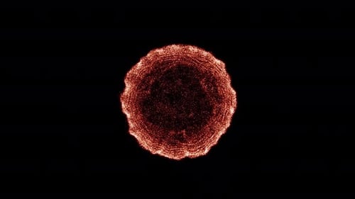 Dynamic Particle Energy Burst Reveal Transition