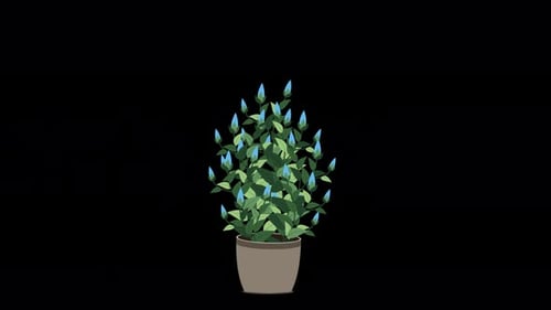 Home plant animation. Potted plant isolated. Decorative green houseplant in pot. Plant in pot