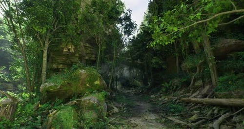 Lush Green Forest Trail Surrounded By Towering Trees and Mossy Rocks