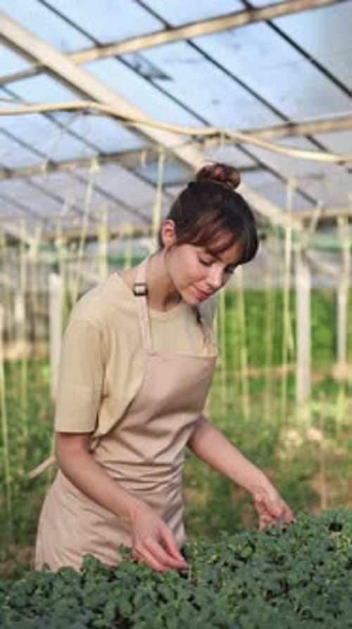 Smiling Young Adult Tending Sprouts in Greenhouse