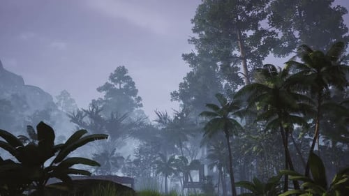 Forest At Evening Time 2k