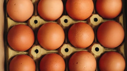 Farm Fresh Eggs in a Delicate Paper Tray Healthy Nutrition and Organic Food Concept