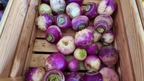 Close-up of Fresh Turnips in a Wooden Crate