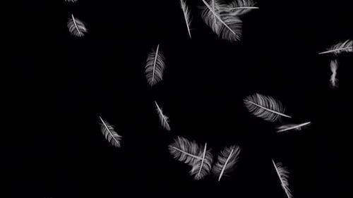 Gentle Falling White Feathers Seamless Loop