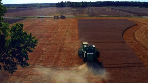 Combine Harvester Harvesting Wheat in a Rural Field