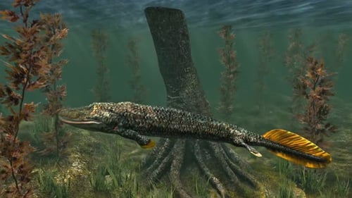 Ancient Tiktaalik Lobe-Finned Fish Swimming Underwater