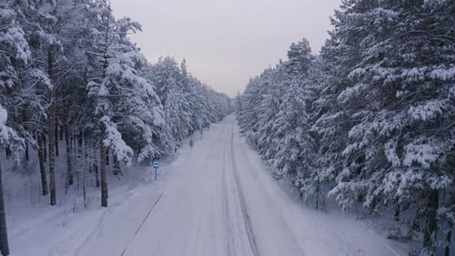 Aerial Footage of Road in Winter Forest Landscape