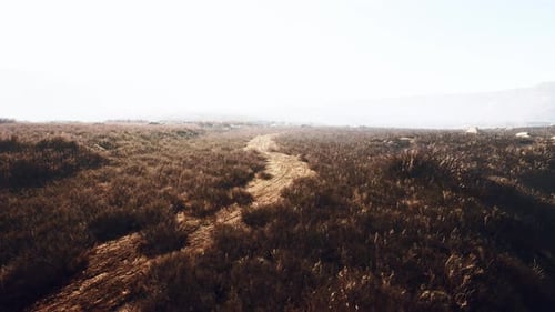 Remarkable Image of a Foggy Rocky Landscape with Partial Vegetation