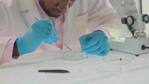 Scientist Working with Sample in Laboratory